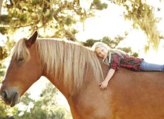 Terapija uz pomoć životinja – PAT (pet assisted therapy) Devojcica na konju, terapija životinjama