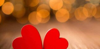 Ljubav i njene teorije teorija ljubavi