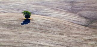 usamljenost, usamljenost u vezi, usamljenost u braku, biti sam, porodica, roditeljstvo, brak, veza